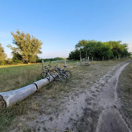 Usedom Familie Stopp 23a *
